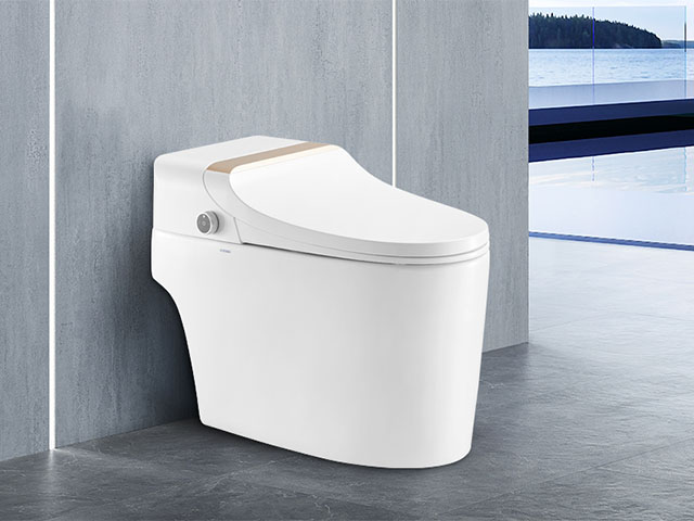 安華智能坐便器 睿麗S15	